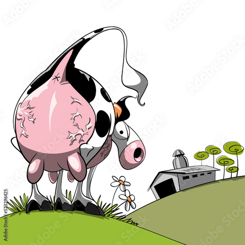 Vaca lechera, de raza frisona (holstein), con la ubre hinchada. A rebosar. Inflación bovina.