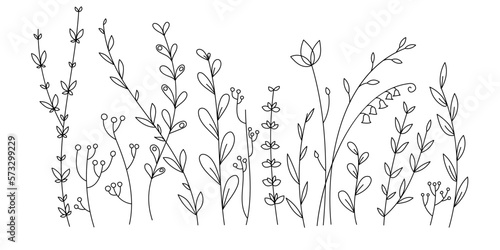 Hand drawn vector linear glade of tall grass. Beautiful floral background for postcards, congratulations, invitations. Gentle, spring meadow. Abstract flowers, plants, grass for coloring and design © si.verik