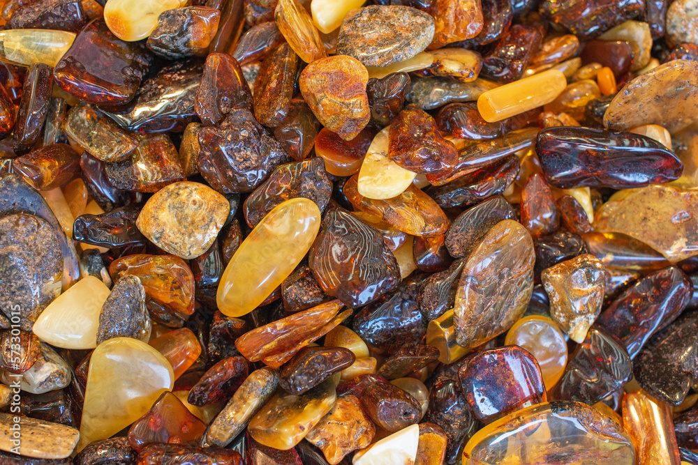 A lot of different shaped and polished Baltic amber stones A lot of different shaped and polished Baltic amber stones