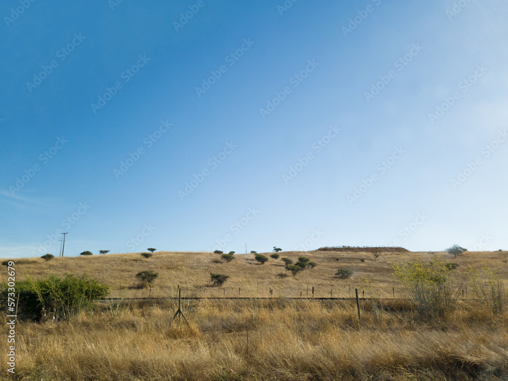 Obraz premium landscape with sky