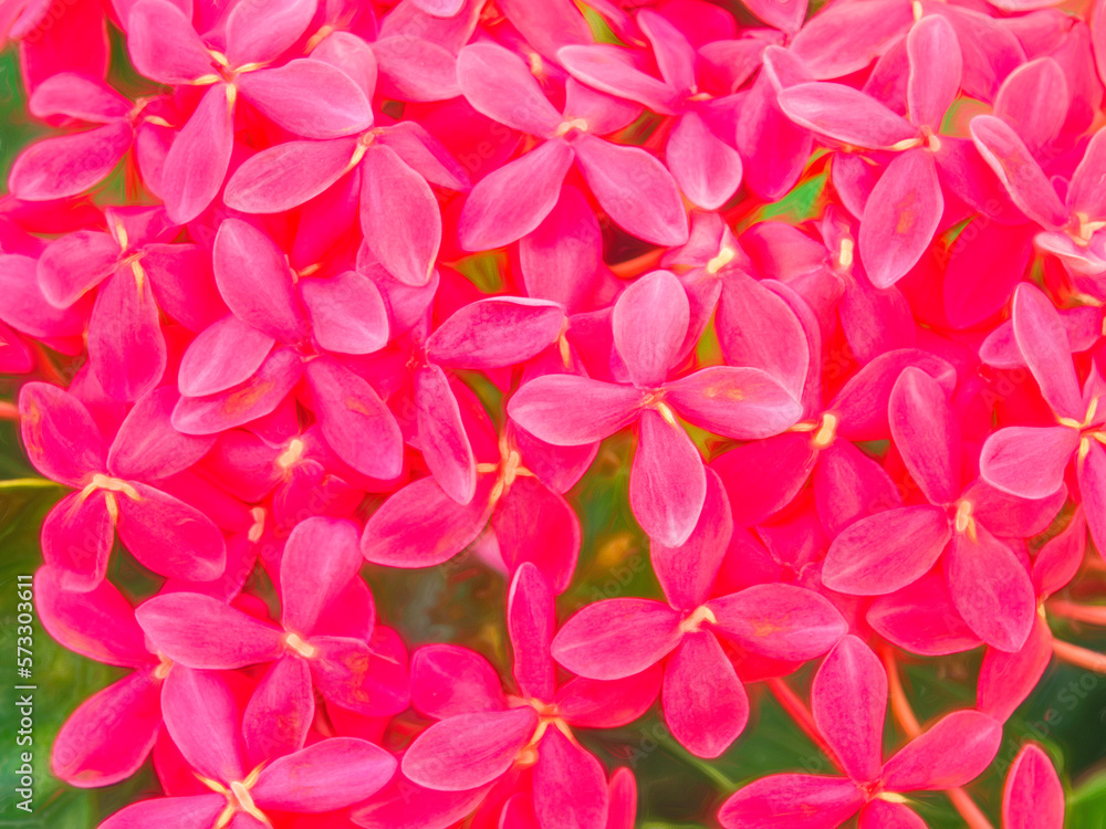 Cluster of unidentified flowers with four small ovate petals in shades of red in a subtropical garden, autumn in southwest Florida, with digital painting effect