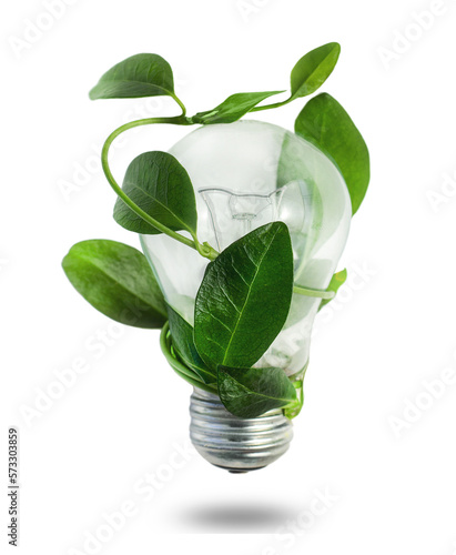 bulb with green leaf isolated
