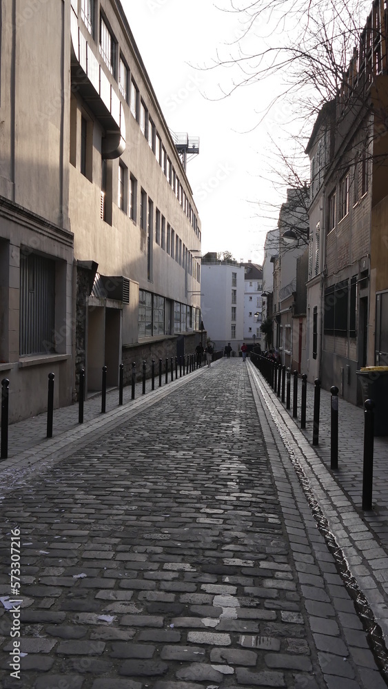 Fototapeta premium Une ruelle vide, urbaine, ancienne civilisation et historique, marche culturelle parisienne, haut bâtiment, caché dans l'ombre, ambiance mystérieuse et silencieuse, vide, personne ou peu de marcheurs