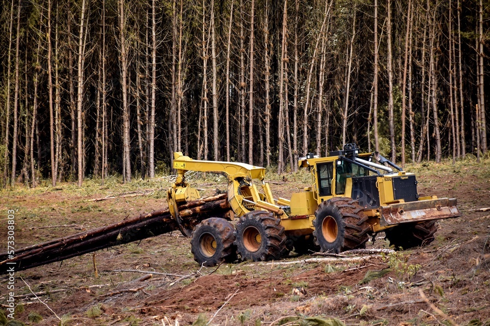 Logging Forestry Machine Timber Harvesting
