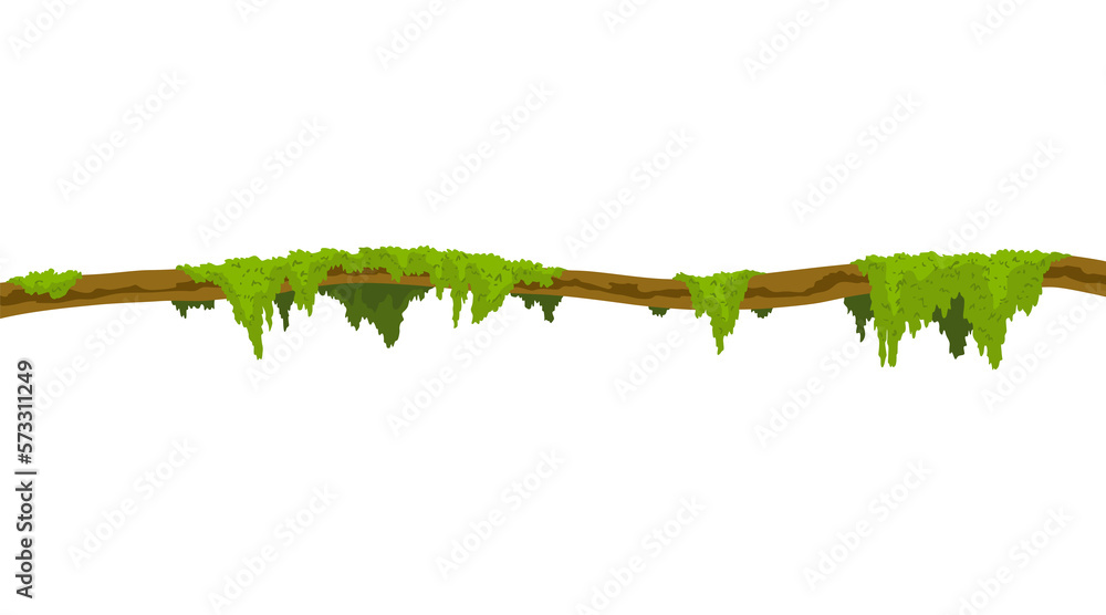 Fototapeta premium Lianas stem border. Rainforest green vine or twisted plant hanging on branch. Cartoon jungle creeper, leaves or moss on tree. isolated game scenery element. Tropical nature plant