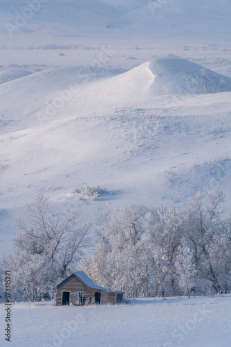 Prairie Winter Scenes