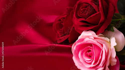 Pink and Red Roses on a Red Velvet Background 