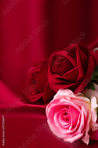 Pink and Red Roses on a Red Velvet Background 