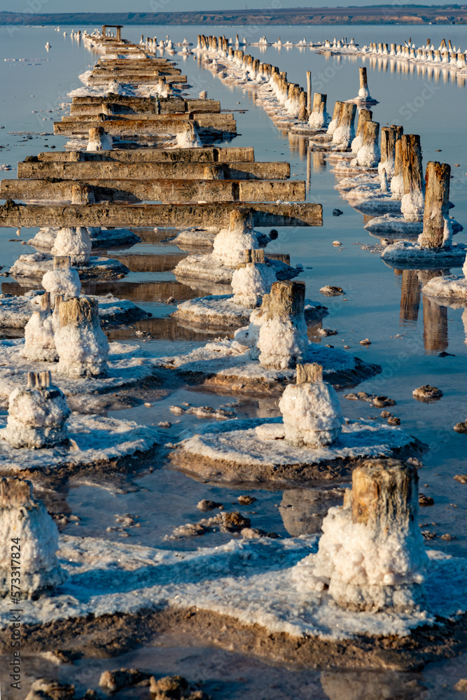 Salt crystals on wooden pillars of an old 18th century salt industry. The ecological problem is drought.
