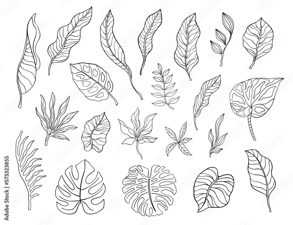 Hand drawn tropical leaves sketch shapes