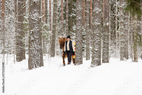 Icelandic horse and female rider in snowy Finnish forest © AnttiJussi