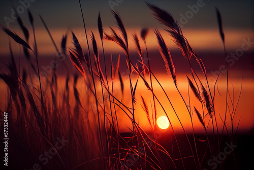 sunset in a marsh  the sun peering through the grass