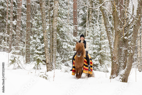 Icelandic horse and female rider in snowy Finnish forest