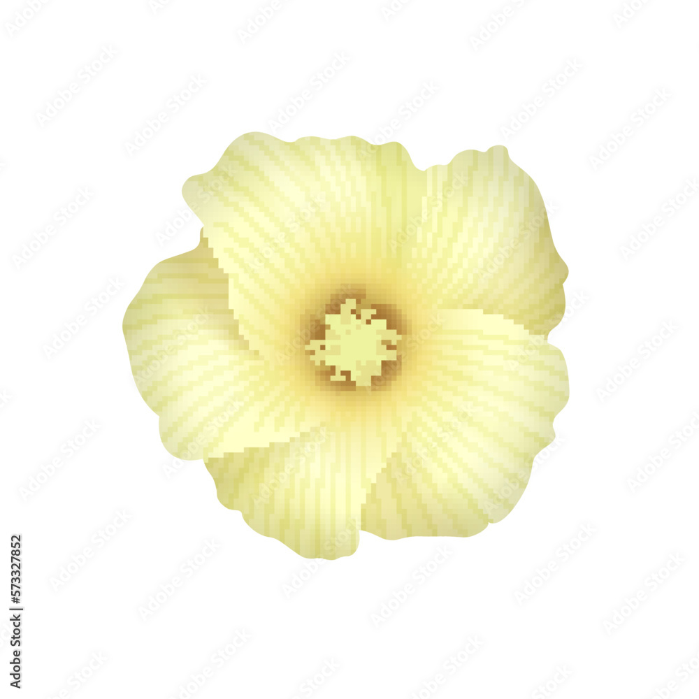 Fototapeta premium Cotton Flower Realistic Composition
