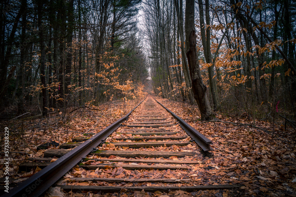 Obraz premium Old, abandoned railroad tracks in the forest