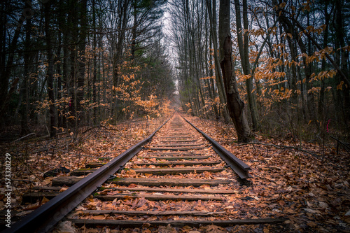 Old, abandoned railroad tracks in the forest
