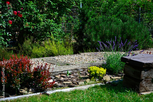 żwirowa ścieżka ogrodowa z berberysem i krzewami, beautiful garden, designer garden, gravel garden path with barberry and green bushes, Berberis 
