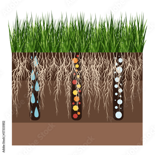 Lawn care - aeration and scarification. Labels by stage-after. Intake of substances-water, oxygen, and nutrients to feed the grass and soil. Vector flat illustration isolated