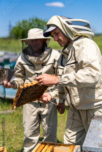 Summer beekeeping worker apiarist. Beekeepers working in apiary.