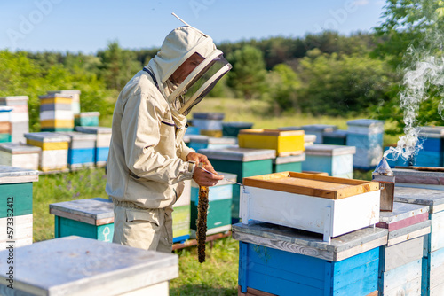 Summer farming sweet honey. Beekeeping apiary beehive.