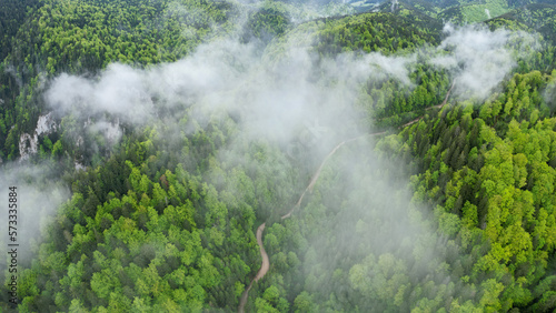 Aerial drone panorama above a narrow canyon winding through wild woodlands. Rainy day. Low altitude clouds form above the woodlands. Spring season, the tree leaves are bright green. 