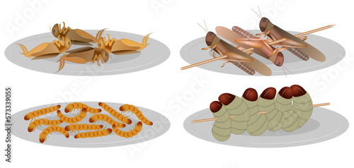 Set of edible bugs