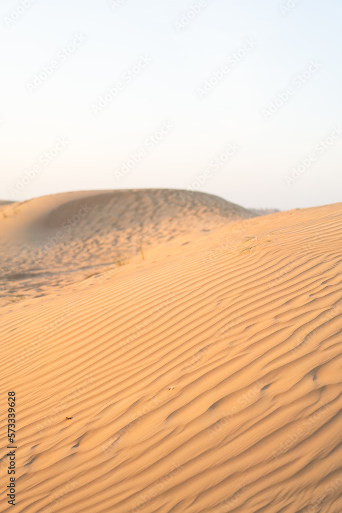 landscape sand dunes in the desert