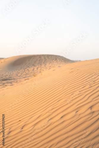 landscape sand dunes in the desert