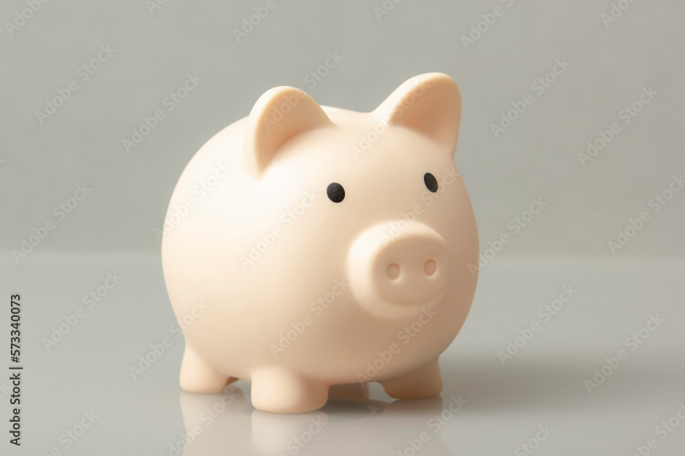Pink piggy bank. Money and business concept. Copy space for text