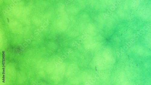 3D Animation ecoli Escherichia Coli bacteria swimming green background photo