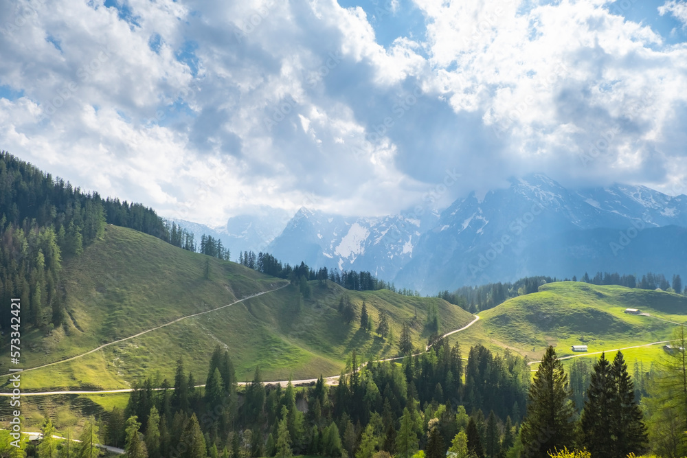 Naklejka premium Idyllic landscape in the Alps with fresh green meadows, pine forest and mountain tops in the background