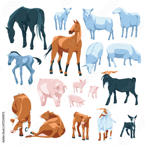set of farm animals: sheeps, horse, cow, pig, goat Isolated on white background. Vector flat illustration. Agriculture, farming and cattle breeding