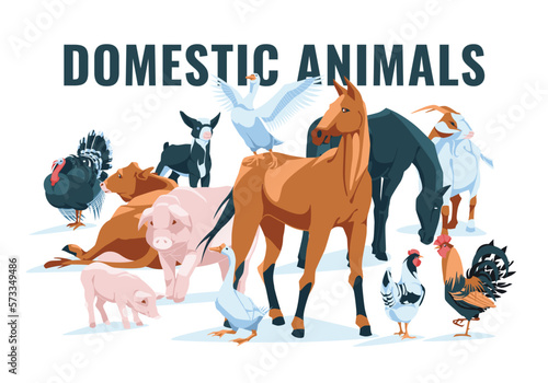 set of farm animals: chicken, rooster, hens, goose, turkey, horse, cow, pig, goat Isolated on white background. Vector flat illustration. Agriculture, farming and cattle breeding