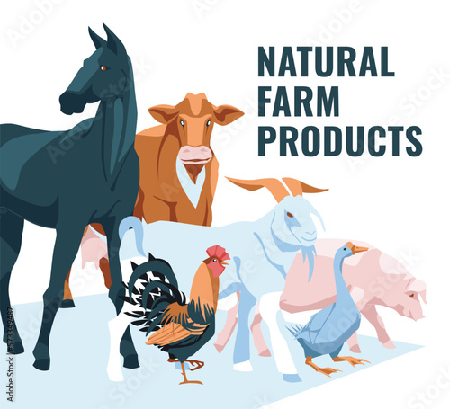 set of farm animals: rooster, goose, horse, cow, pig, goat Isolated on white background. Vector flat illustration. Agriculture, farming and cattle breeding © Maria