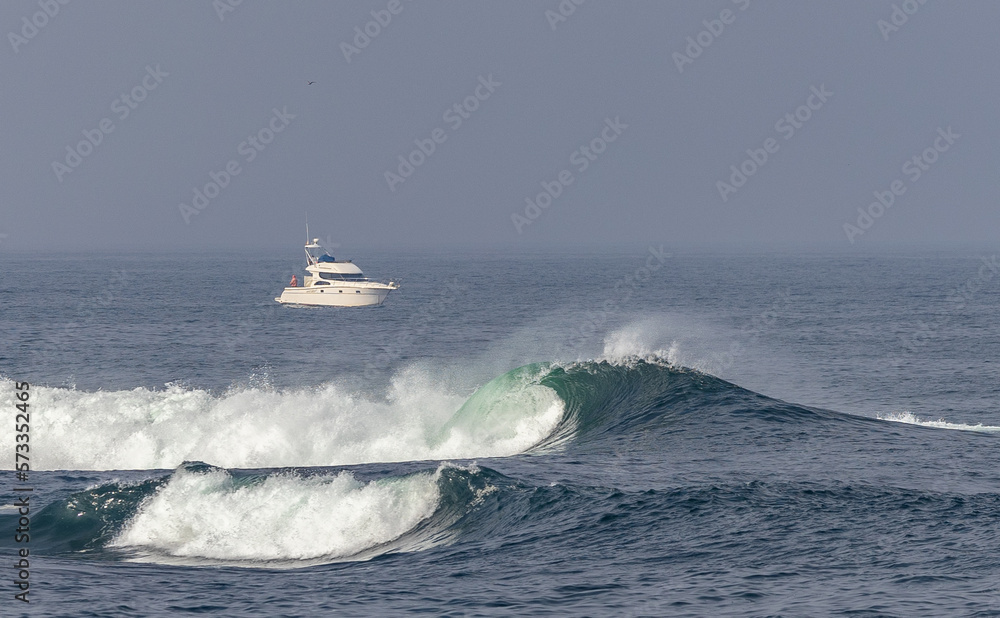 Naklejka premium A winter morning on the cliffs photographing birds: curlews, waders, cormorants...