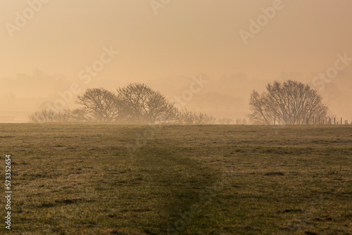 A misty sunrise in rural Sussex