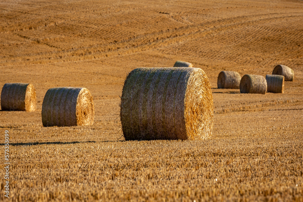 Hay bales in a field in the South Downs on a hot summer's evening