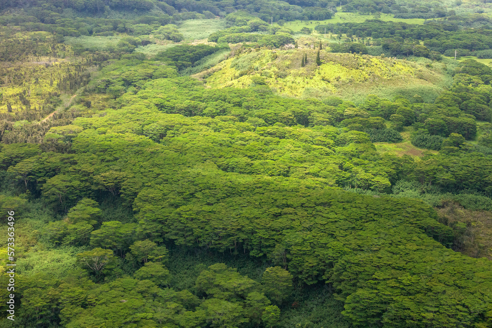 Majestic Areal View of a Tropical Island Majestic Areal View of a Tropical Island