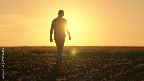 Farmer works in rubber boots, field with young green sprouts. Businessman grows food. Worker walks in rubber boots at sunset. Agricultural business. Grow grain, vegetables. Field, young green shoots photo