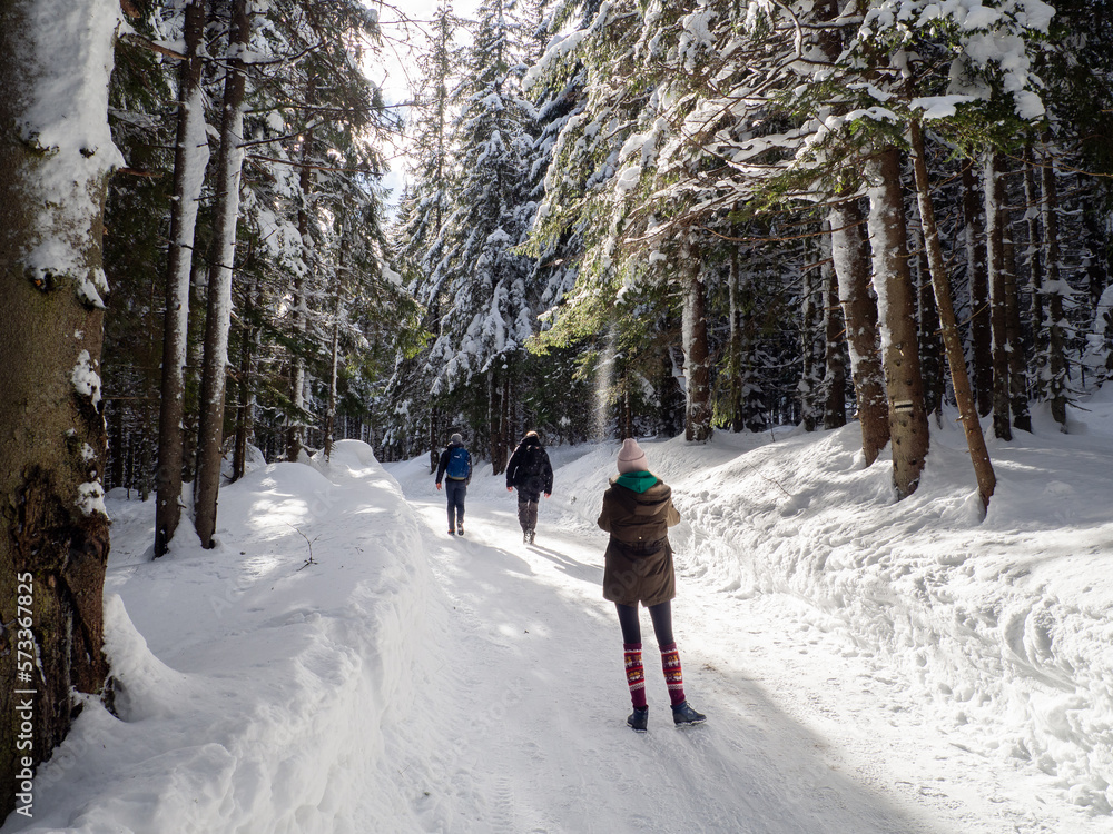 winter walk