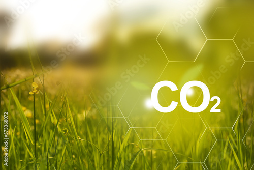 Clean plants on field and bright sunlight to the good ecological future. Problems and solutions of CO2 emission.