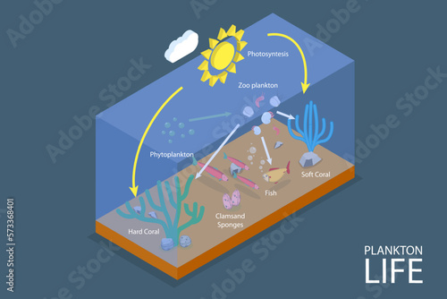 3D Isometric Flat Vector Conceptual Illustration of Plankton Life, Ocean Food Chain