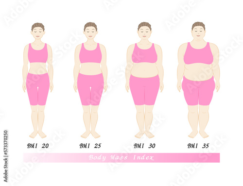 中高年女性のBMI指数による体型の変化 ボディマスインデックス イラスト ベクター