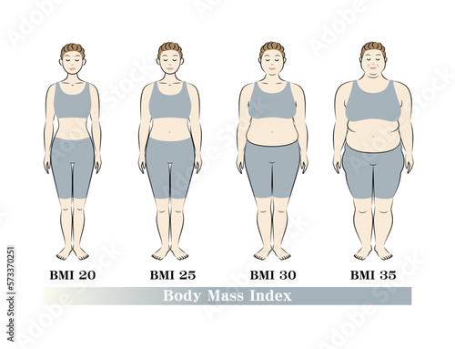 ボディマスインデックス 中高年女性の体形変化 ダイエットのビフォーアフター イラスト ベクター