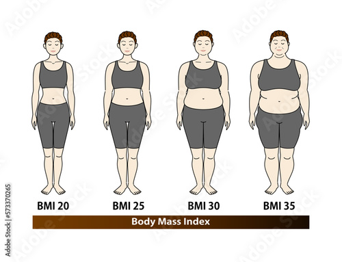 中高年女性のBMI指数による体型の変化 ボディマスインデックス イラスト ベクター