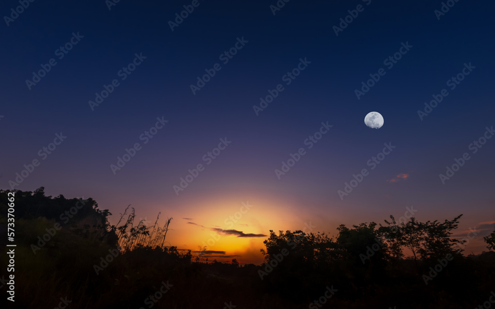 Sunset or sunrise with silhouette of grass and bush and the moon