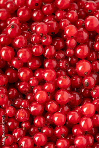 red currant berries close up top view