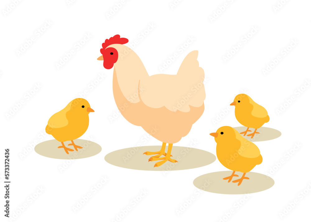 Chicken mother with chicks. Birds and winged animals with feathers. Nature and wild life, care and love. Symbol of spring and summer. Farming and agriculture. Cartoon flat vector illustration