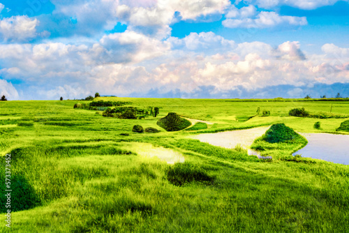 The green grassland in spring, under the blue sky and white clouds. Transform salt flats into grasslands with computer vision transformations.