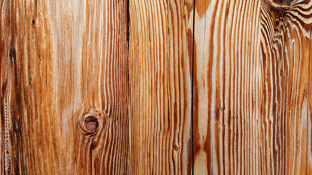 wood grain tree background texture backdrop wood grain tree background texture backdrop